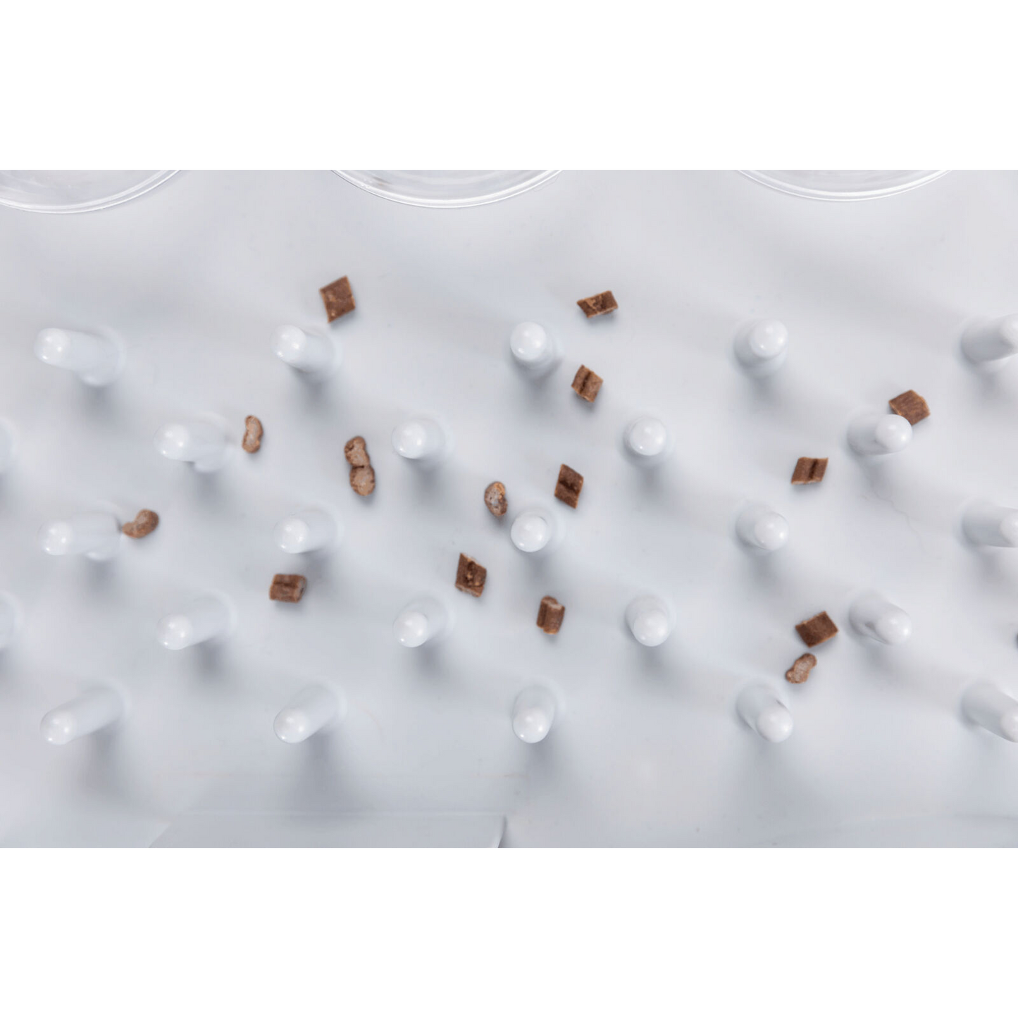 Cat Activity Fun Board