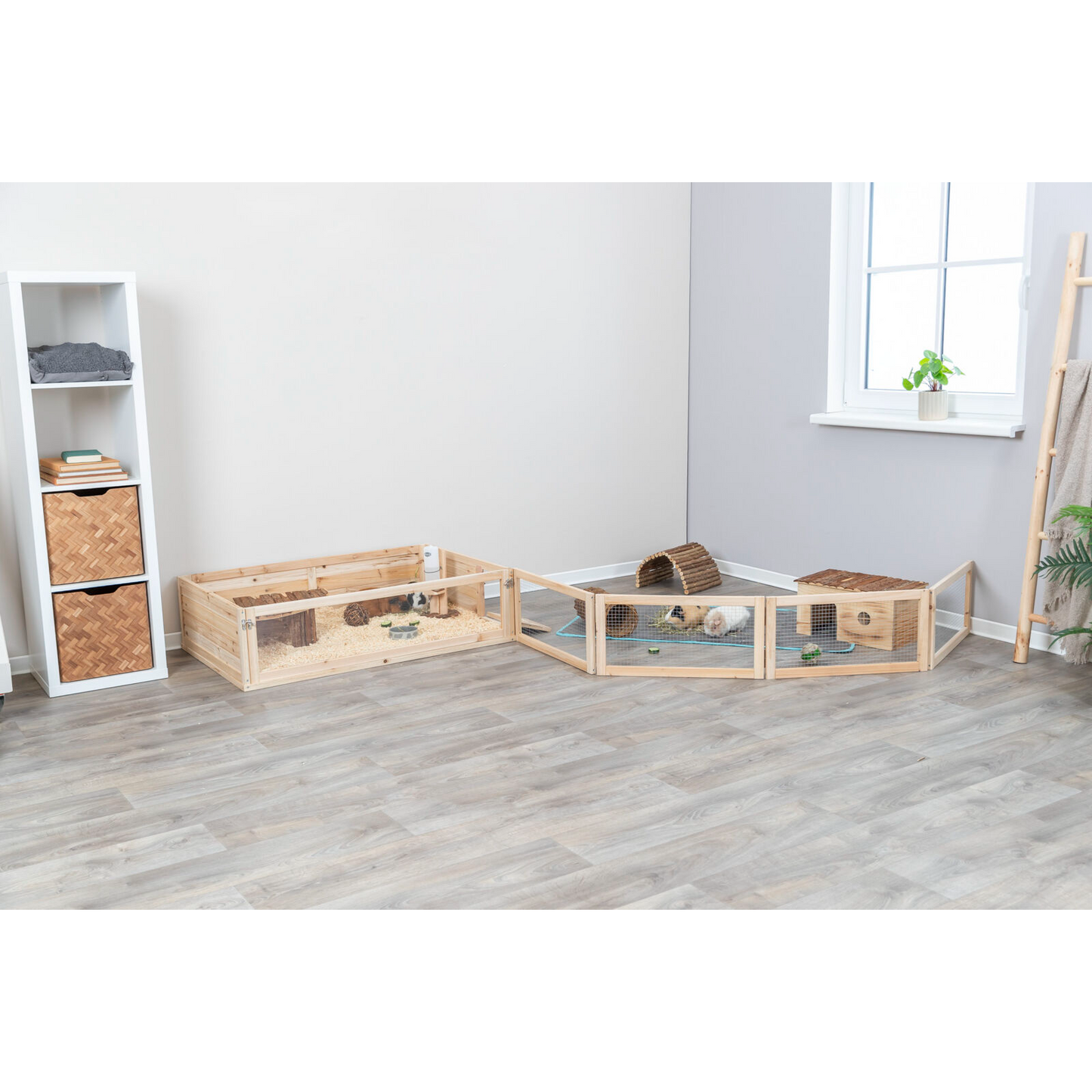 Indoor Freilaufgehege, Meerschweinchen