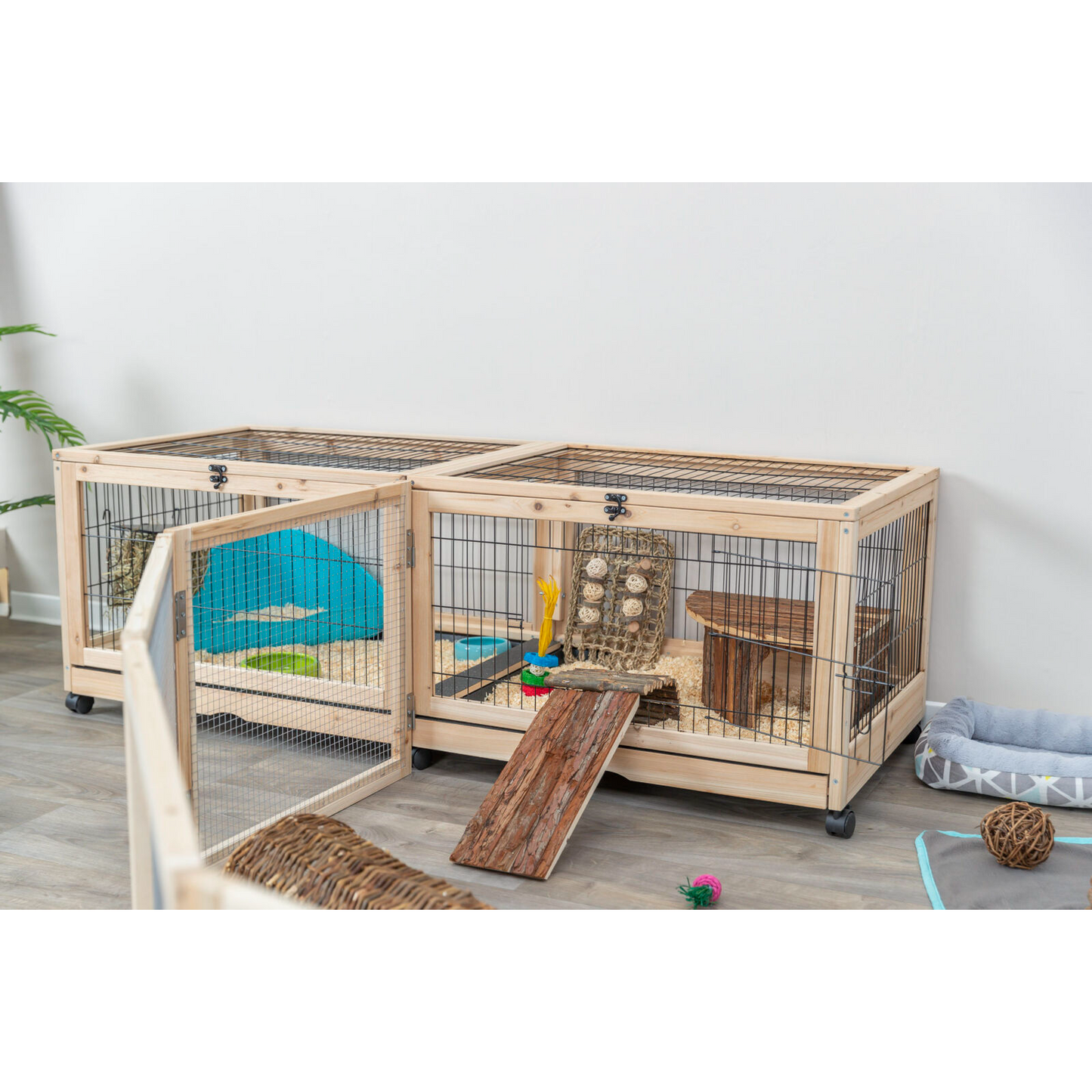 Indoor Gehege