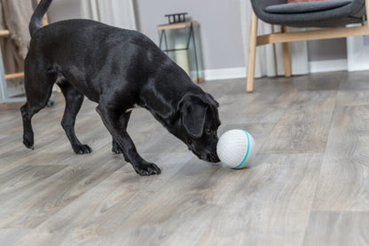 Snackball, Kunststoff