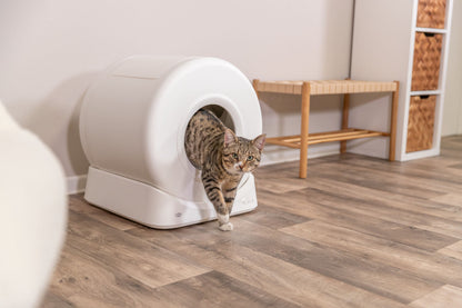 Smarte Katzentoilette, Kunststoff, 51×56×54cm, weiss
