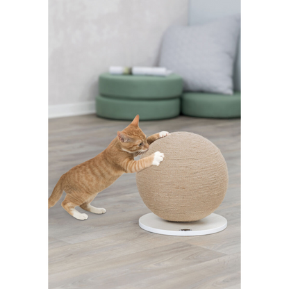 Kratzball auf Platte