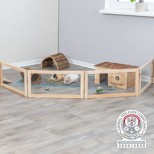 Indoor Freilaufgehege, Meerschweinchen